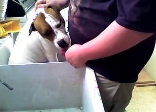 رجل ممتلئ الجسم يخرج قضيبه ليمارس الجنس مع كلب في مكانه