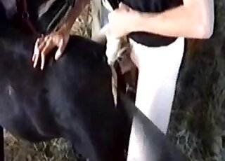 رجل شاحب الغنائم يدخل قضيبه في فتحة هذا الحيوان الساخنة