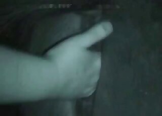 فيلم إباحي عنيف مع رجل يقبض على فرس يريد ممارسة الجنس العنيف